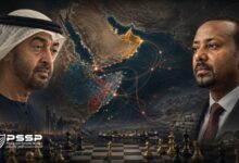Afrika Boynuzu'nda BAE Diplomasisi
